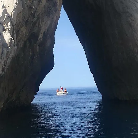 Laura Tanca Piras Nebida