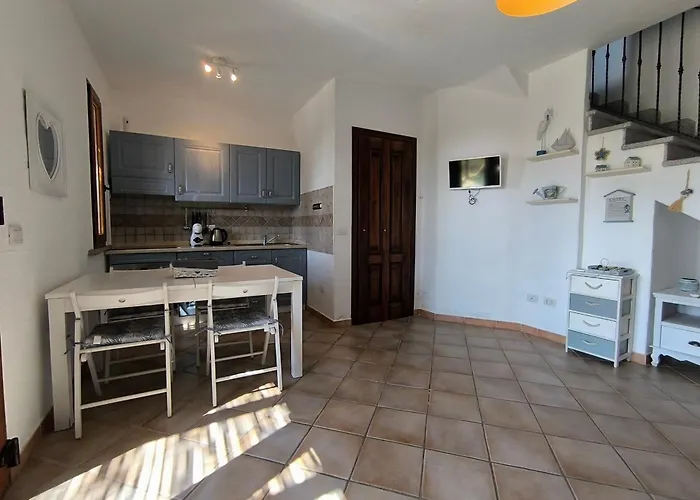 Laura Tanca Piras Nebida